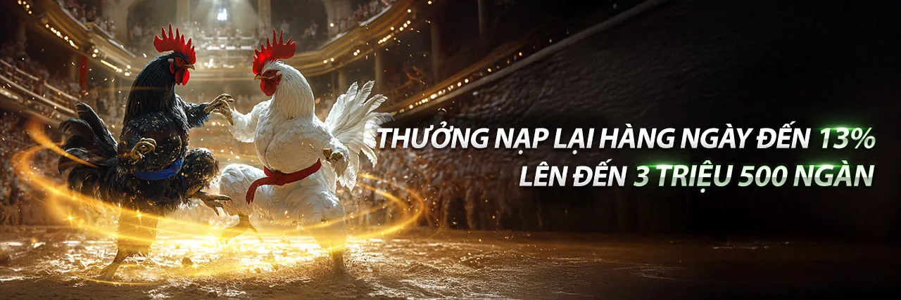 Hình ảnh chính về cá cược thể thao tại VWbet
