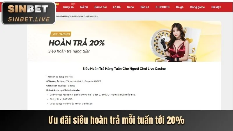 Hoàn Trả Hàng Ngày VWbet